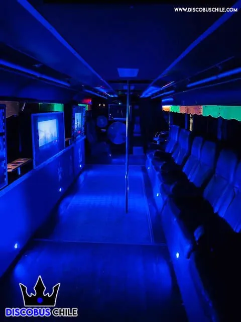 Grupo de amigas celebrando en el bus disco